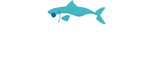 harajuku-fish